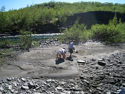 Abisko Juni 2009 dag 6 - 06.jpg